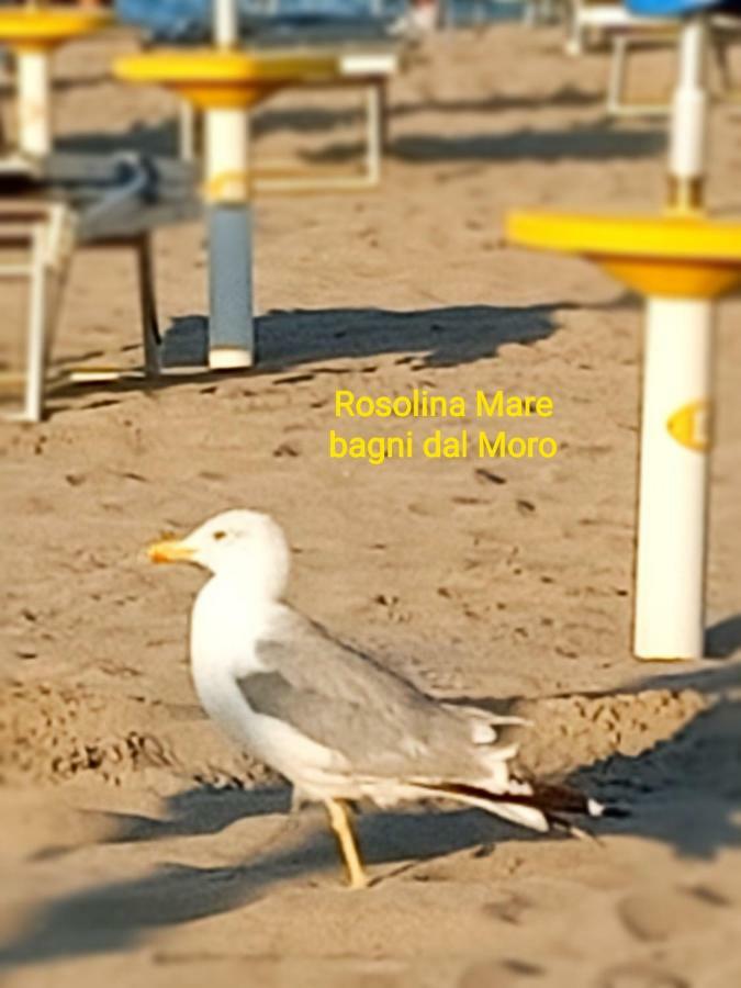 לינה וארוחת בוקר Adria Bella Locazione Turistica מראה חיצוני תמונה